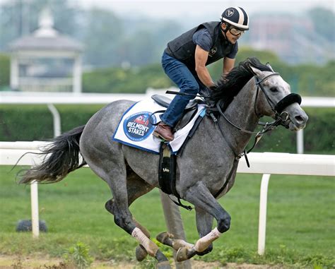 Belmont Stakes 2023: Free picks and analysis from Daily  .